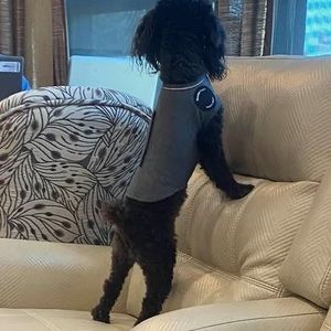 Meet your Posher, Kathy